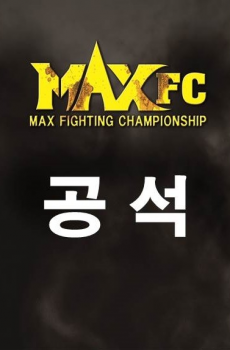 플라이급챔피언 공석